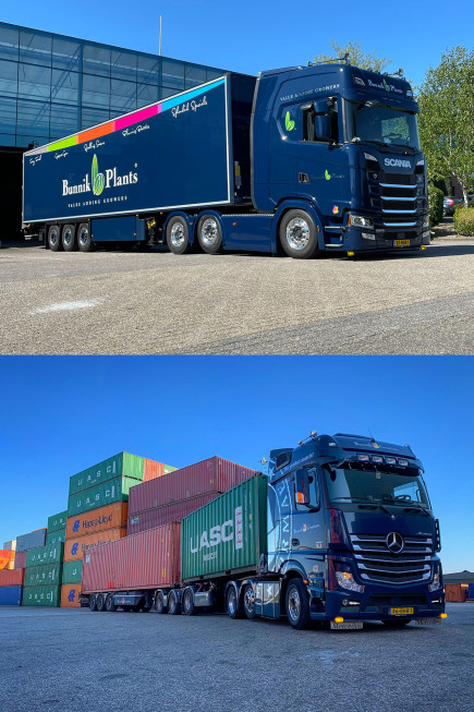 Bunnik Plants 111317