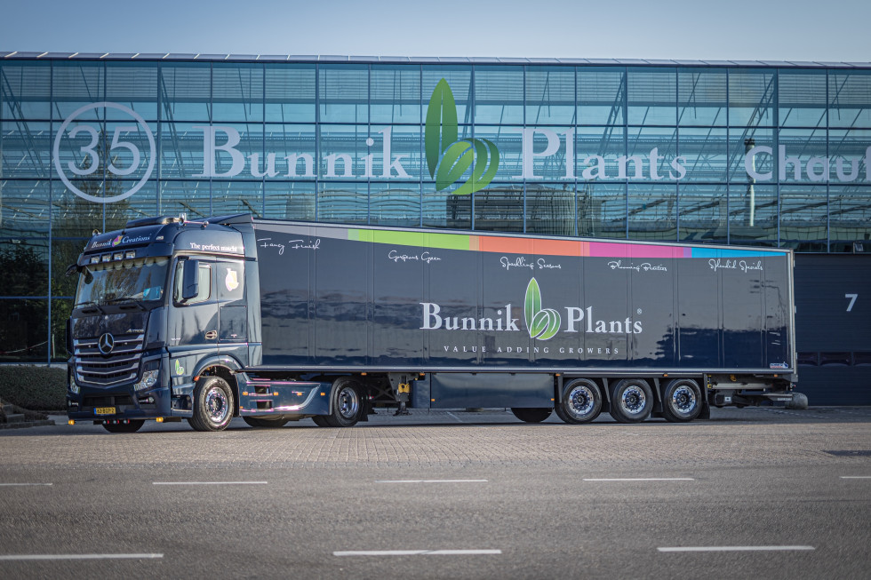 Bunnik Plants 111310